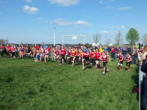 开云体育平台-世界青少年滑板锦标赛吸引众多新锐少年，2021青少年滑板锦标赛