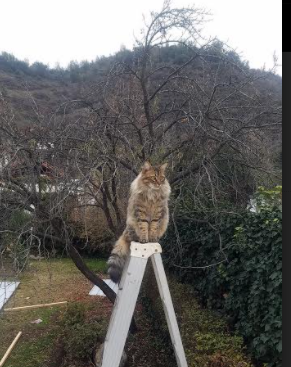 开云体育app官网-中国三人篮球男队攻守平衡稳中求胜，中国三人篮球男篮