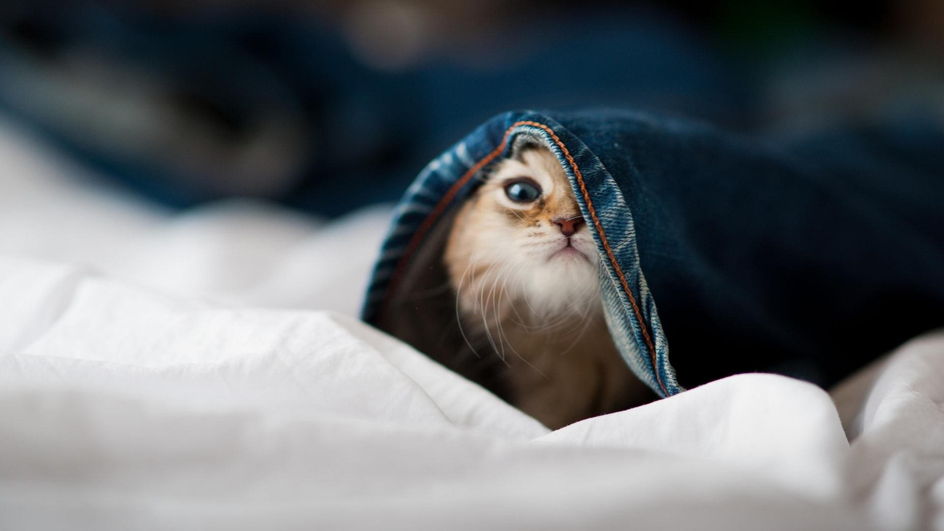 中国男篮体能训练强度升级 备战国际硬仗,中国男篮练兵