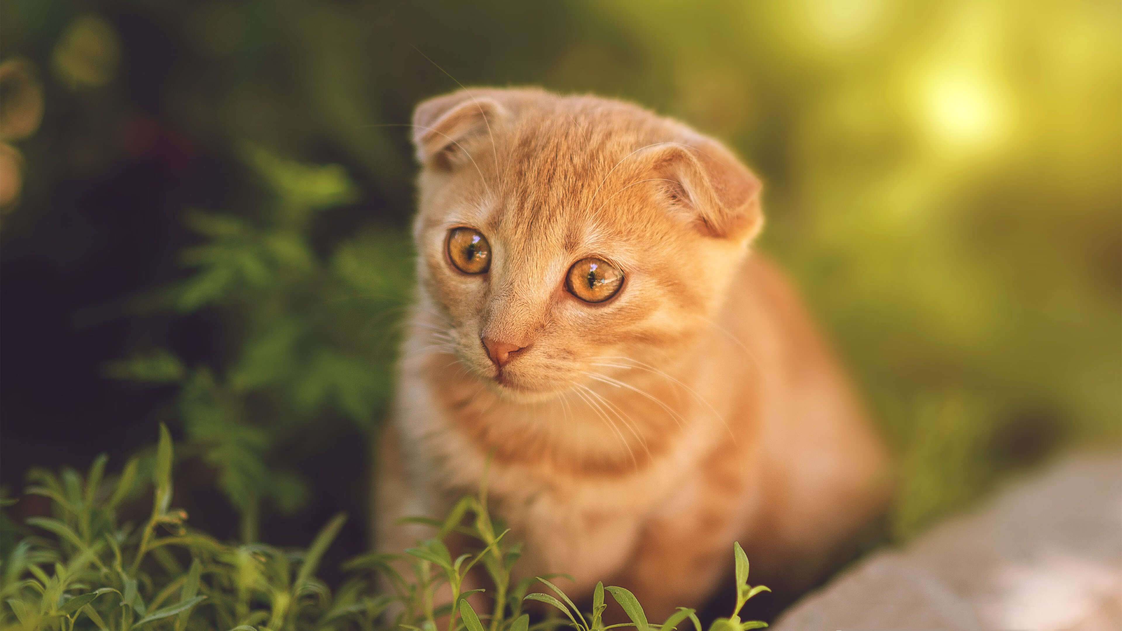 中立B女队滑行段技术趋向规范