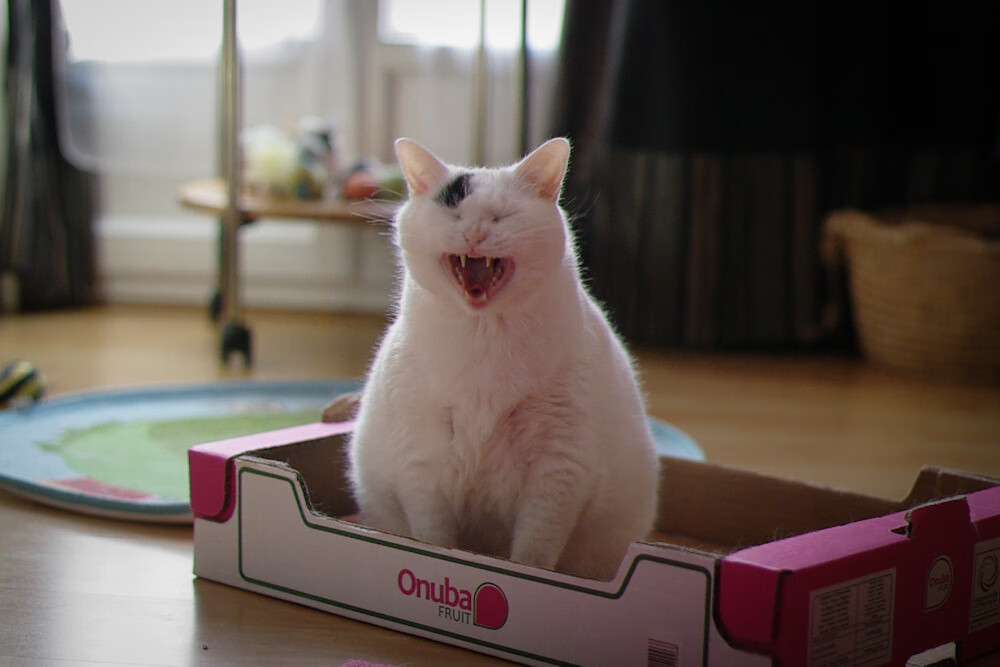 中超联赛中国青年队逆袭 技术分析展现突破,中超青年csly