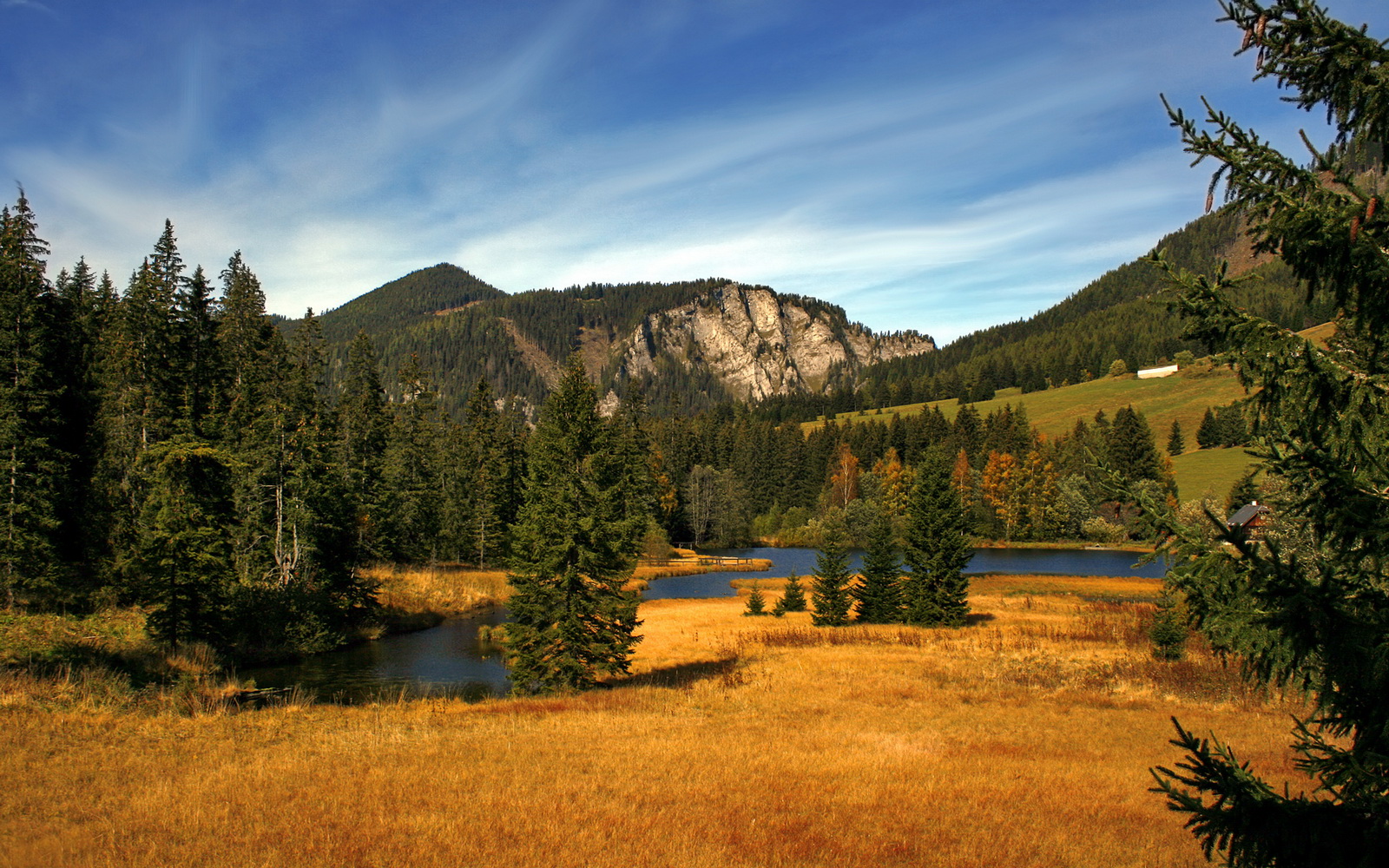 体育教育与科技融合实验课荣获教学创新奖,体育和教育融合