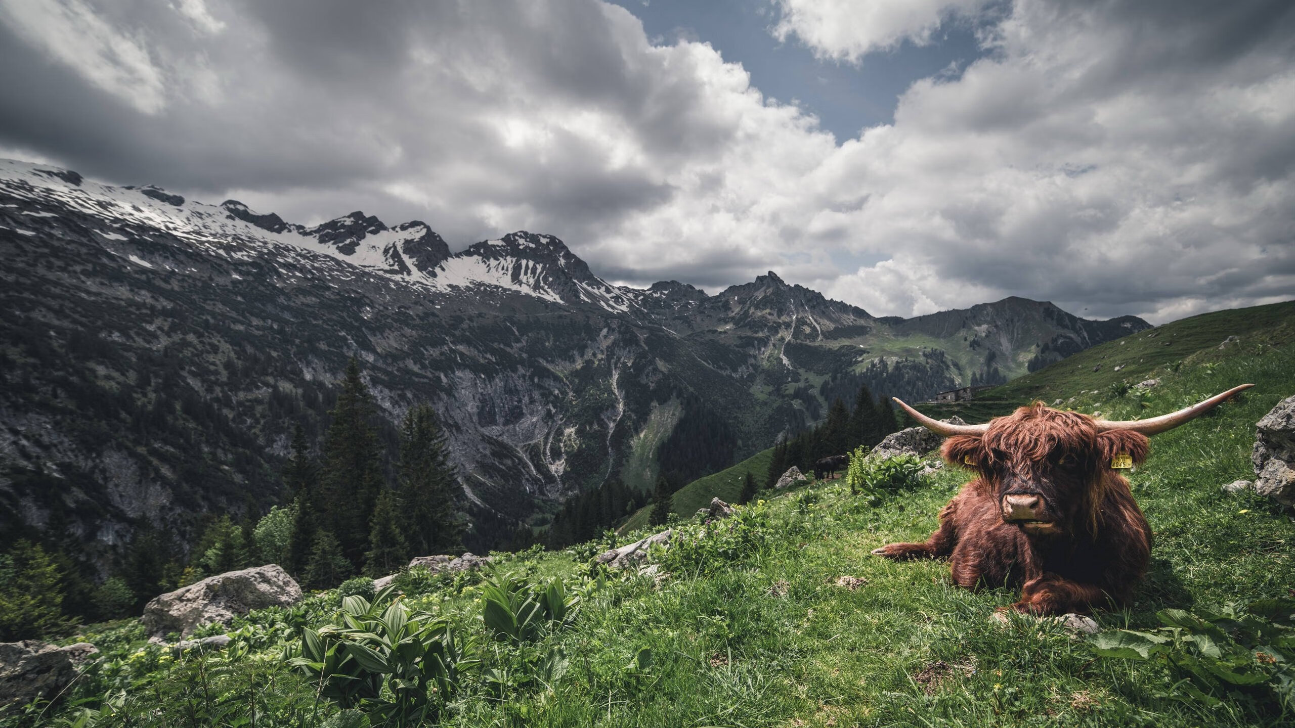开云体育网址-电竞主播直播教学带动新玩家快速成长，电竞主播怎么做