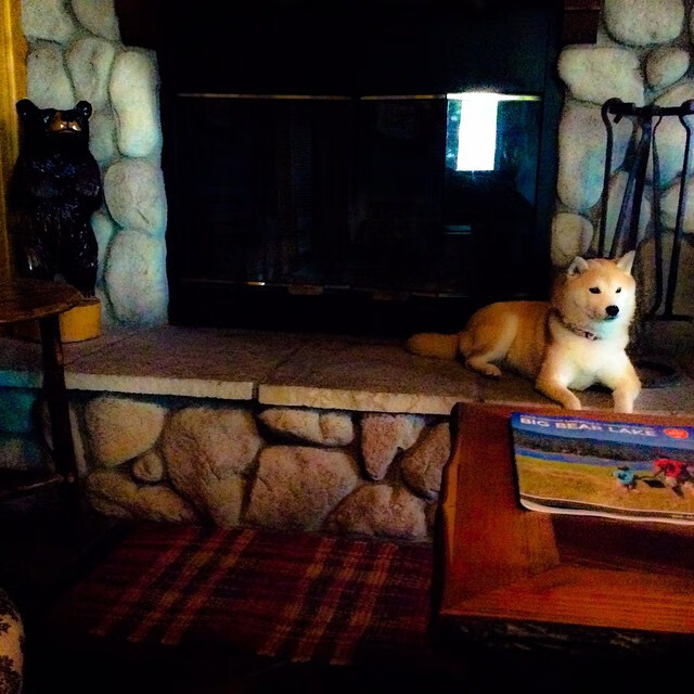 蒙彼利埃全队协同限制对方推进路线,蒙彼利埃俱乐部