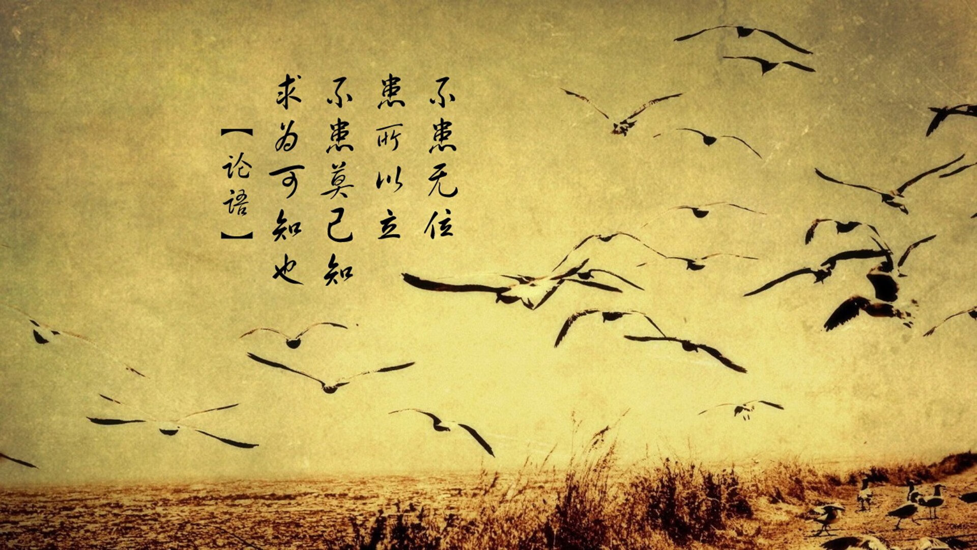 开云体育-足球青训教练引进国际先进培训体系，做足球青训教练的行业怎么样