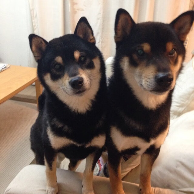 中超联赛试行比赛节奏监控系统提升转播体验感,中超比赛开始的音乐