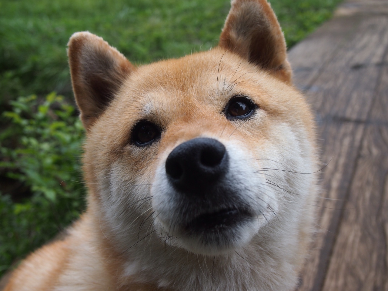 尼克斯替补席得分破四十分支撑全场,尼克斯队主场