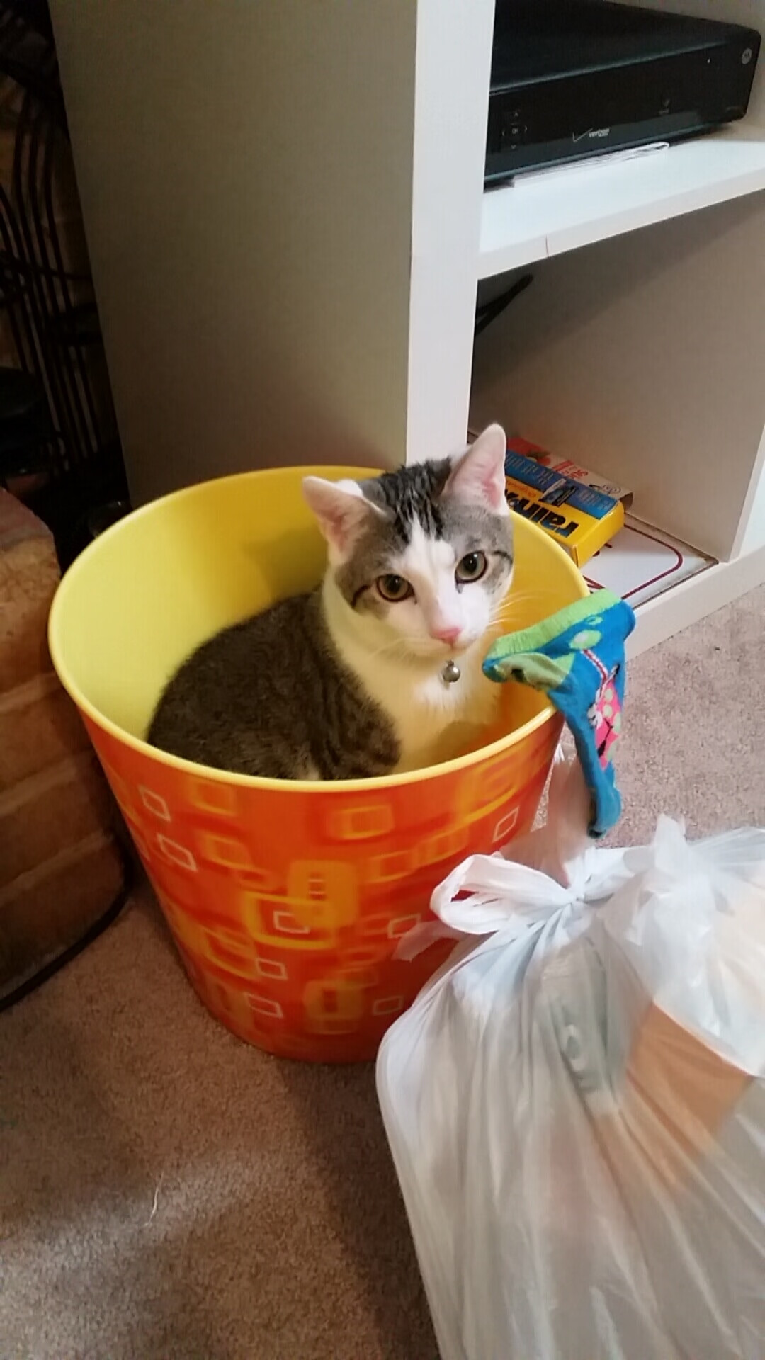 开云体育app注册-张伟丽接受康复训练备战新一轮挑战，张伟丽训练照片