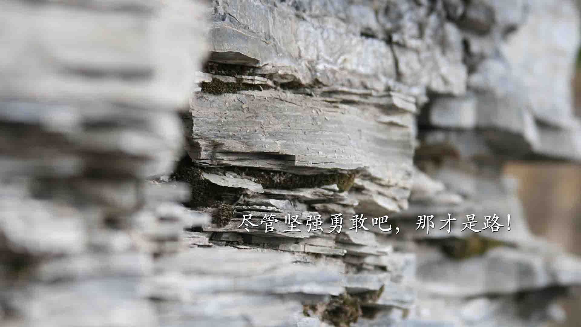 斯滕伯根冲线速度惊艳全场,斯藤伯格