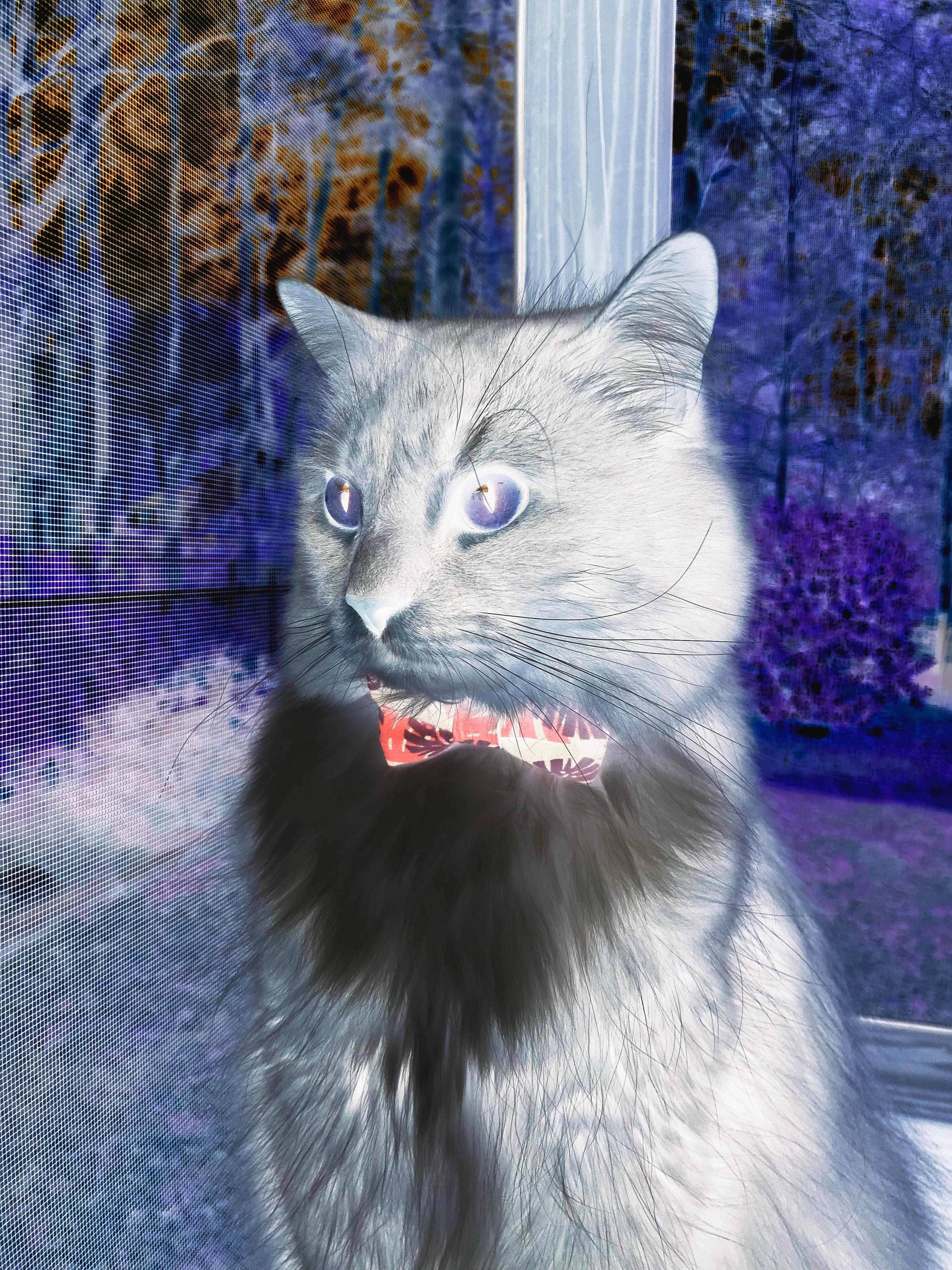 开云体育官网在线-篮球嘉年华现场气氛热烈融合文娱互动多维传播文化，篮球嘉年华活动主题