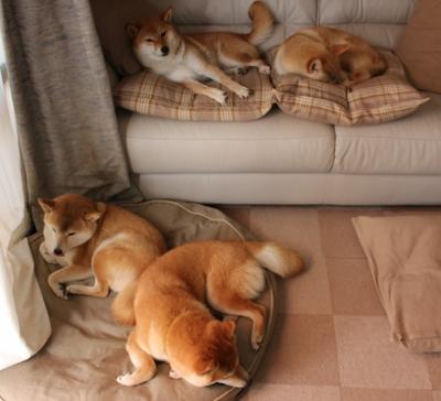 胡贝特·科斯泳池内外双重突破展现实力,胡安贝内特百度百科