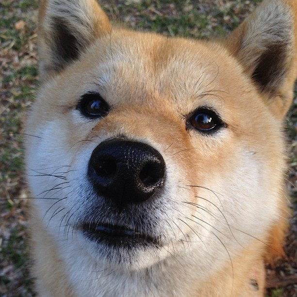 CBA每年上缴亿元补贴女篮和青少年篮球发展